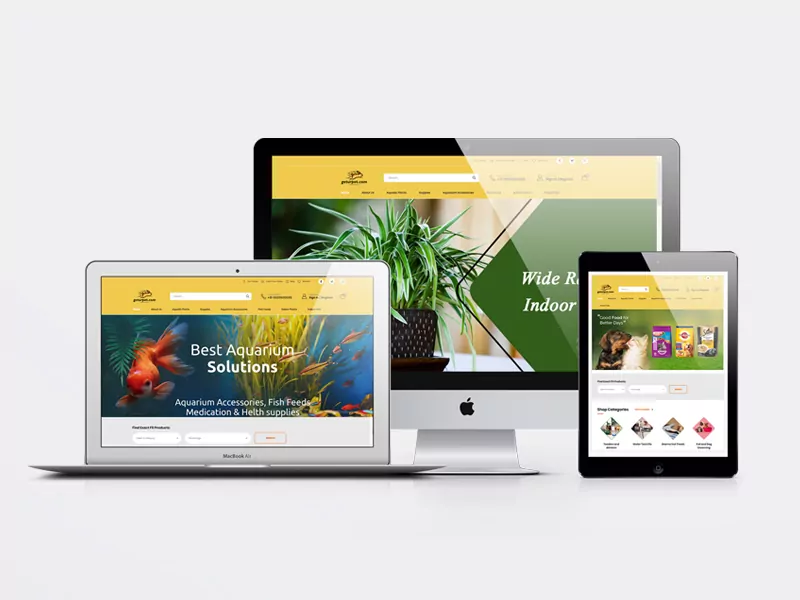 Porfolio